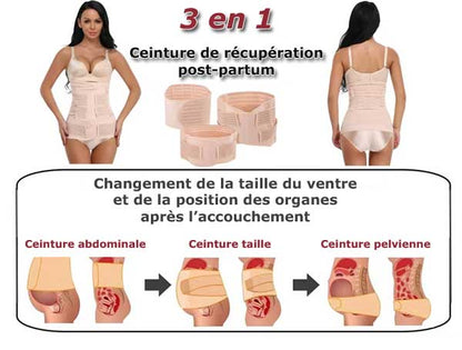 Ceinture Renaissance Harmonique – L’Etreinte Curative d’Après-Miracle