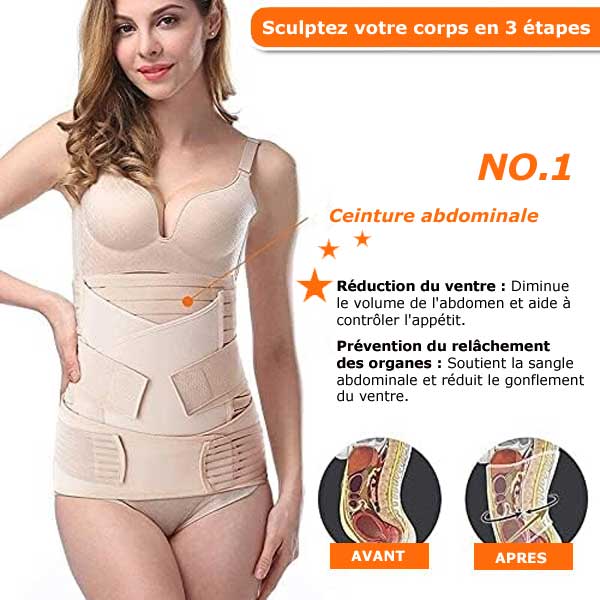 Ceinture Renaissance Harmonique – L’Etreinte Curative d’Après-Miracle