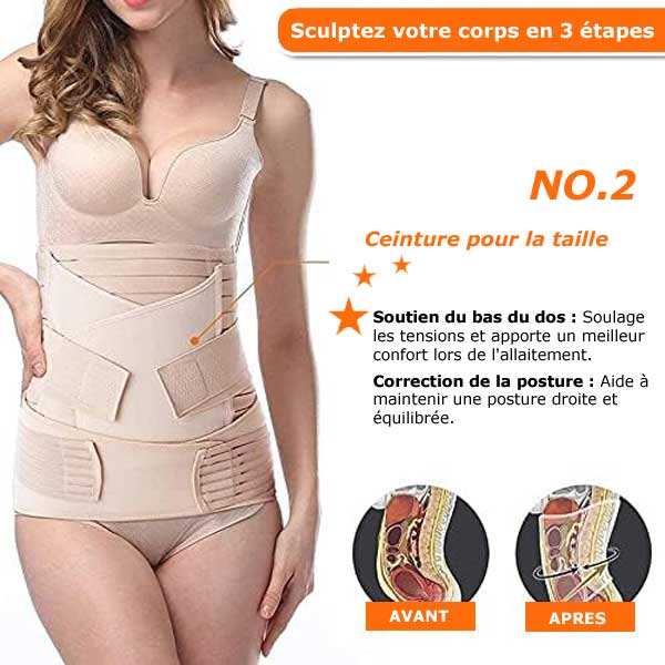 Ceinture Renaissance Harmonique – L’Etreinte Curative d’Après-Miracle