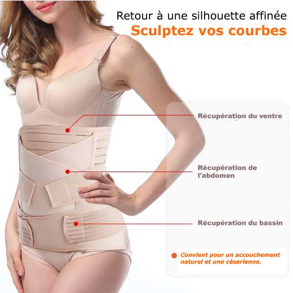 Ceinture Renaissance Harmonique – L’Etreinte Curative d’Après-Miracle