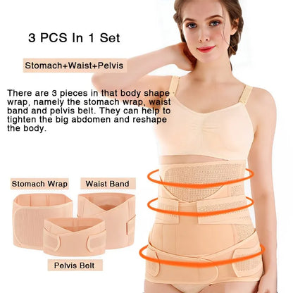 Ceinture Renaissance Harmonique – L’Etreinte Curative d’Après-Miracle